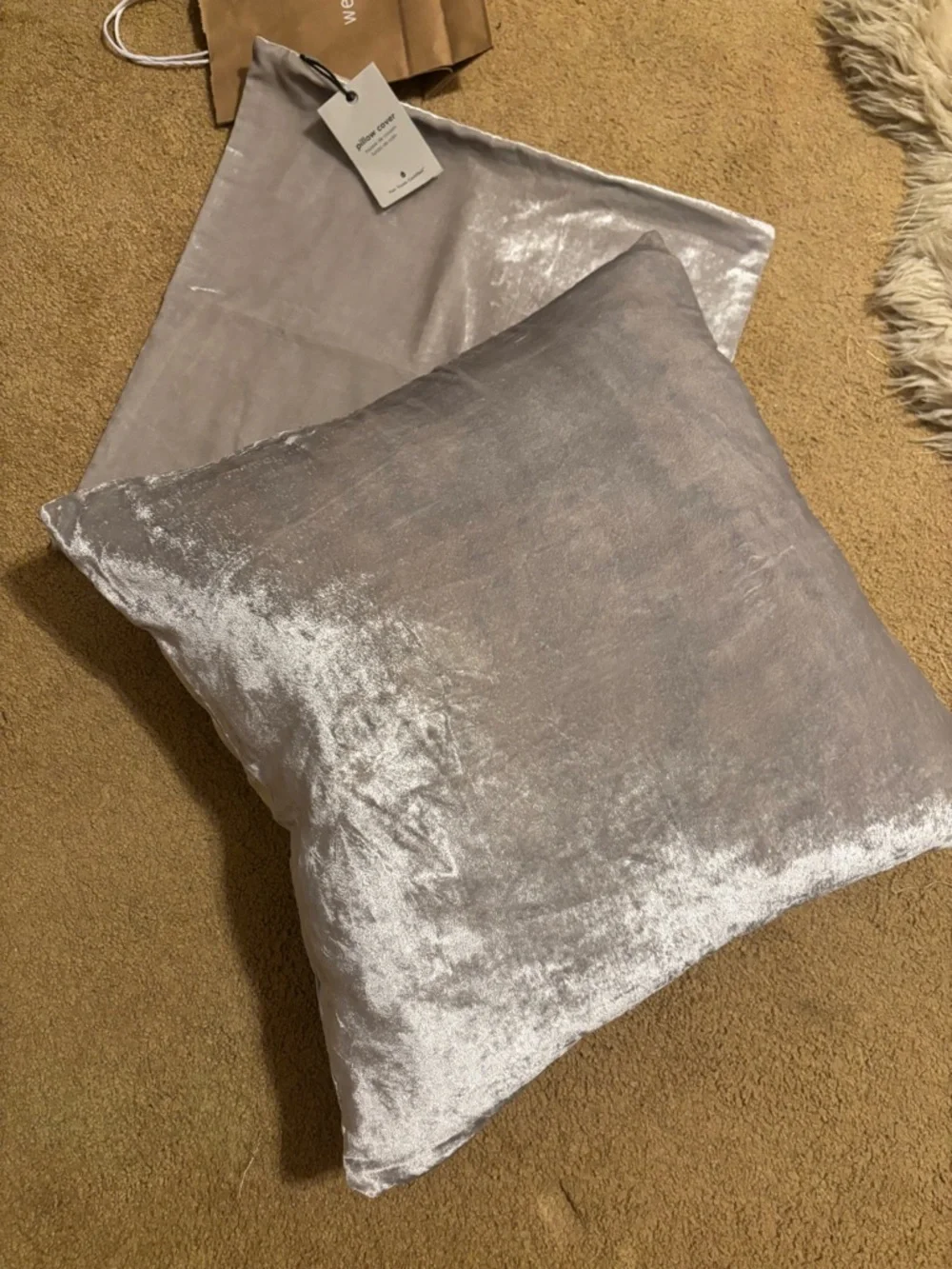 West Elm Shimmering Silver Velvet Square Pillow
